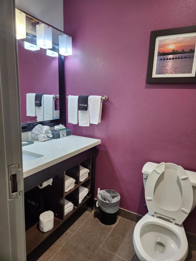 La Quinta By Wyndham Dallas Grand Prairie North Extérieur photo